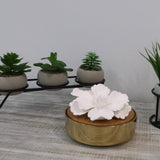 Glossy Gold Hemispheric Shaped Diffuser with White Flower