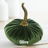Small Velvet Pumpkin