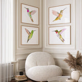 Hummingbirds S/2