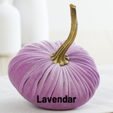 Small Velvet Pumpkin