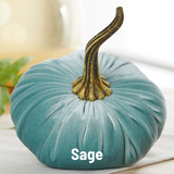 Large Velvet Pumpkin