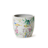Bird and Blossom Collection