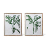 Blissful Banana Tree S/2