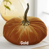Extra Large Velvet Pumpkin