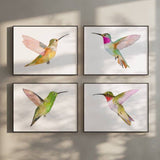 Hummingbirds S/2