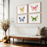 Butterflies S/2