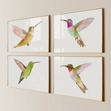 Hummingbirds S/2