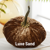 Extra Large Velvet Pumpkin