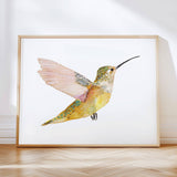 Hummingbirds S/2