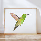 Hummingbirds S/2