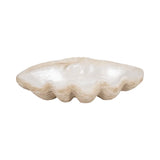 Resin Oyster Shell