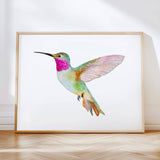 Hummingbirds S/2