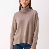 Turtleneck Knit Sweater